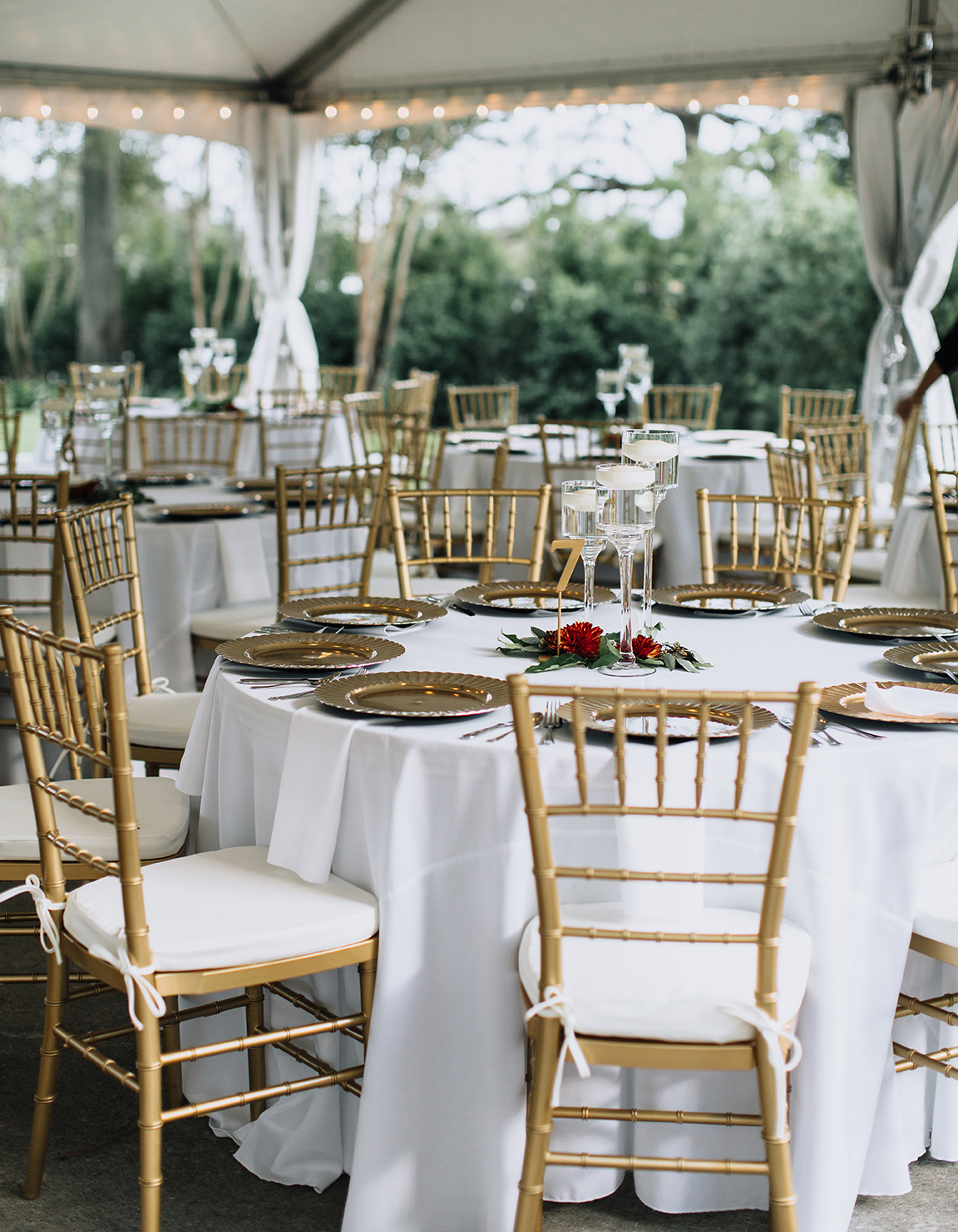 texas, real wedding, outdoor reception, garden wedding, gold chairs, tent