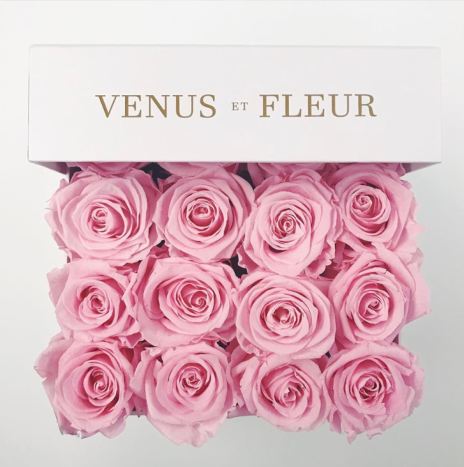 Venus Et Fleur Pink Small Square Box 