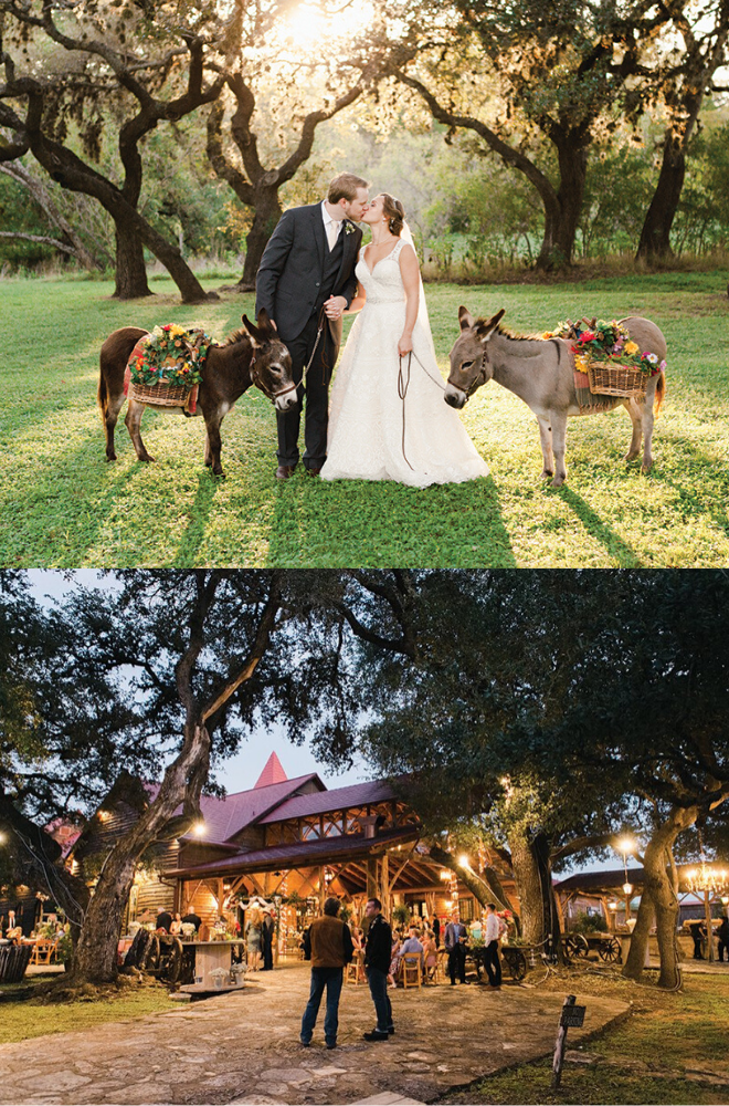 country, burros, donkeys, old glory ranch