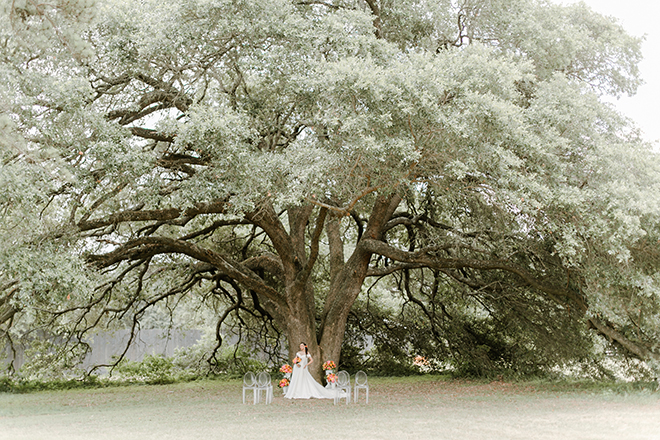 chinoiserie themed, houston, wedding photography, amy maddox, photography, wedding venue, sandlewood manor, samantha's artistry, styled shoot, pink, red, orange, bridal portrait, wedding dress, outdoor ceremony, ghost chairs