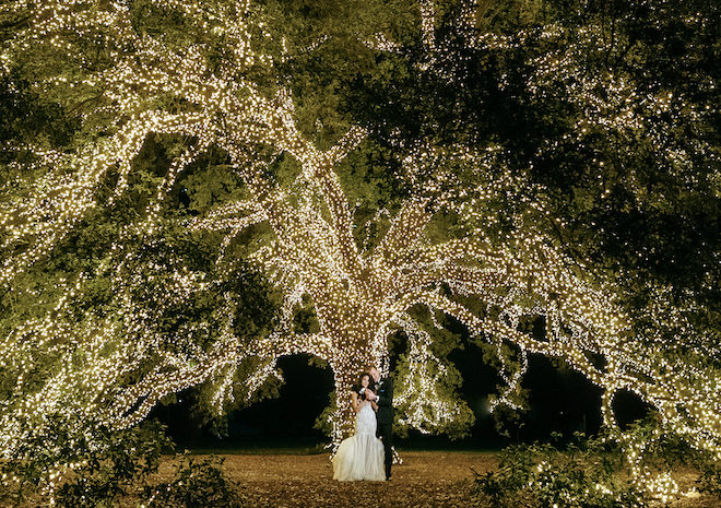 the houstonian hotel, enchanted wedding, bride, groom, wedding photography