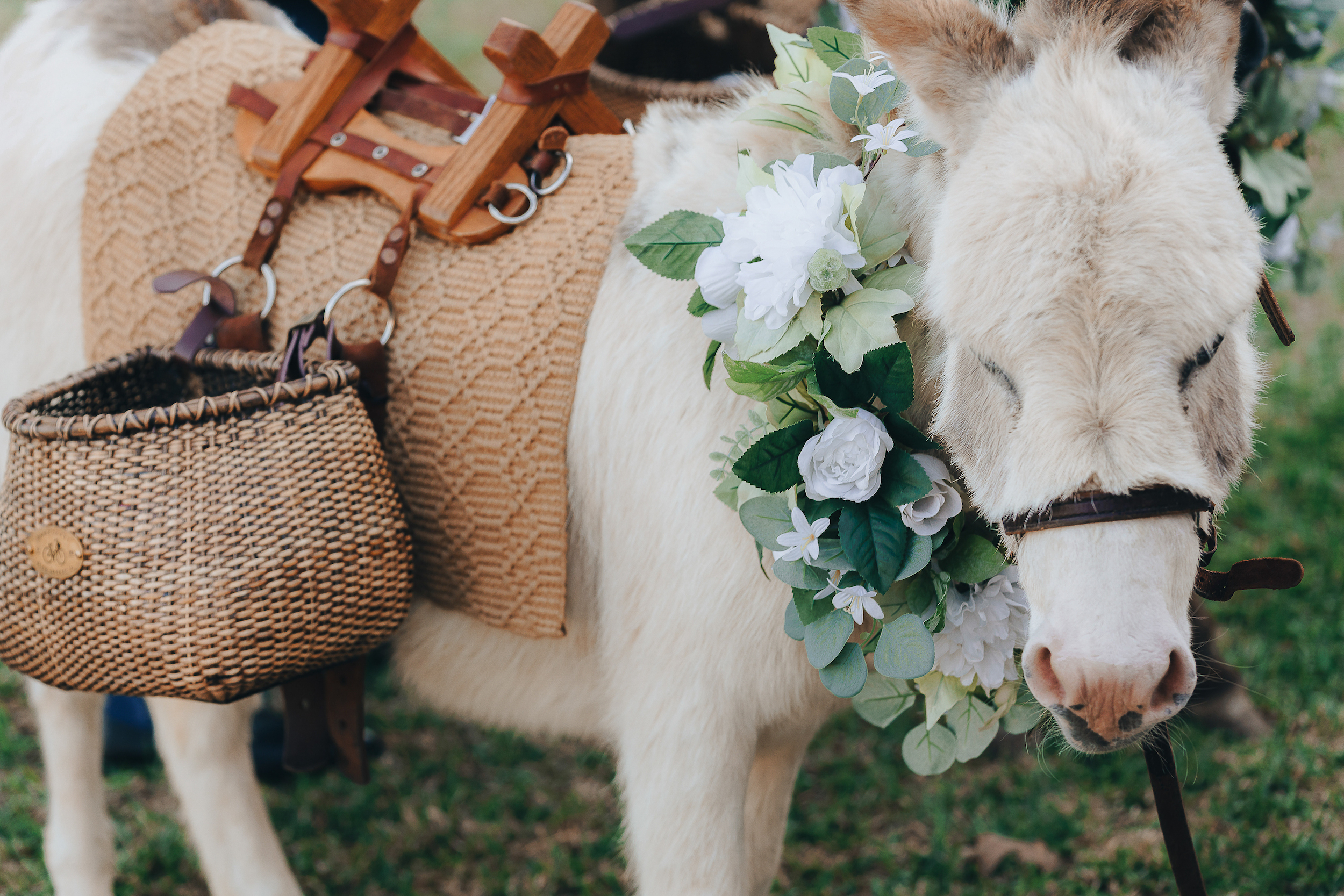 Donkey with pannier baskets and a white and green floral wreath around its neck.