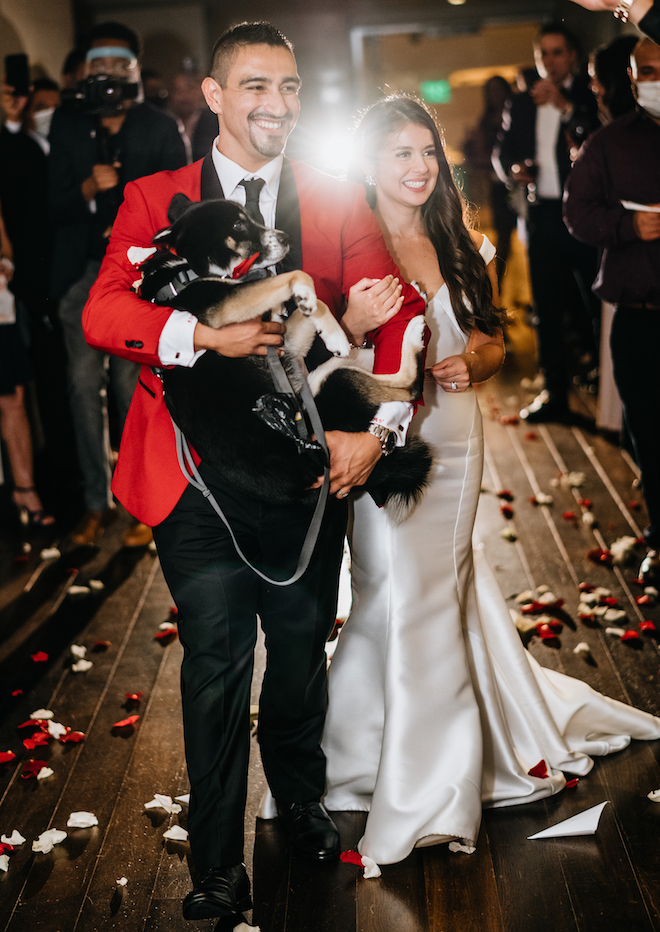 The bride and groom walk out for their send-off. The groom is holding their dog and rose petal are behind thrown in the air.