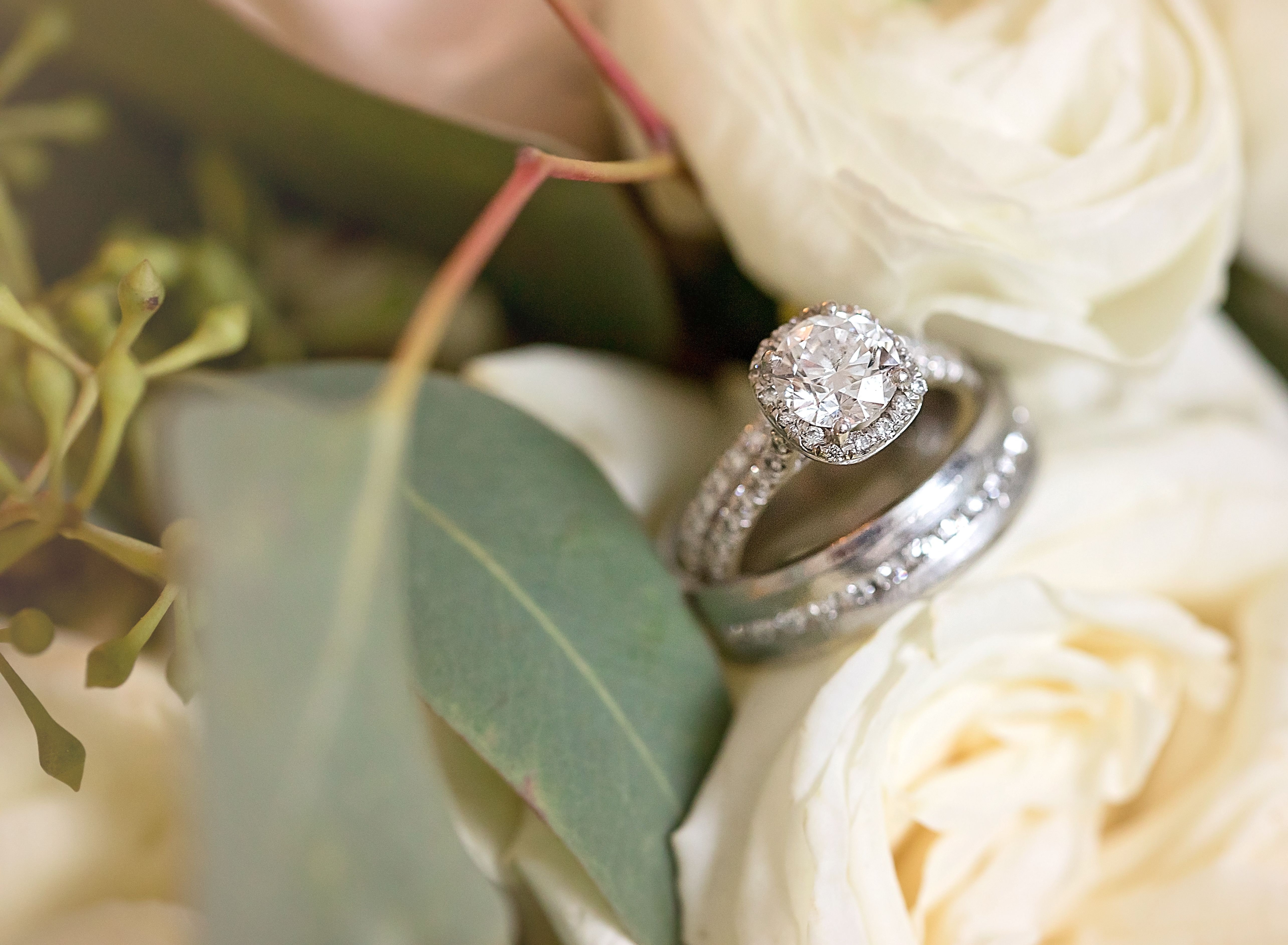 A wedding ring with a round brilliant diamond surrounded by smaller crystals is nestled in between white roses.