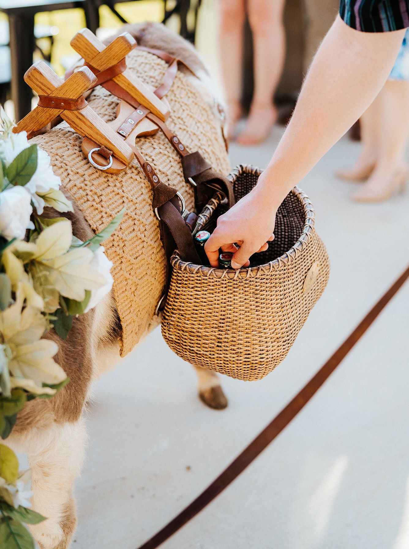 A guest grabs a cold beer from one of the adorable beer burros after an outdoor wedding ceremony in Texas hill country.