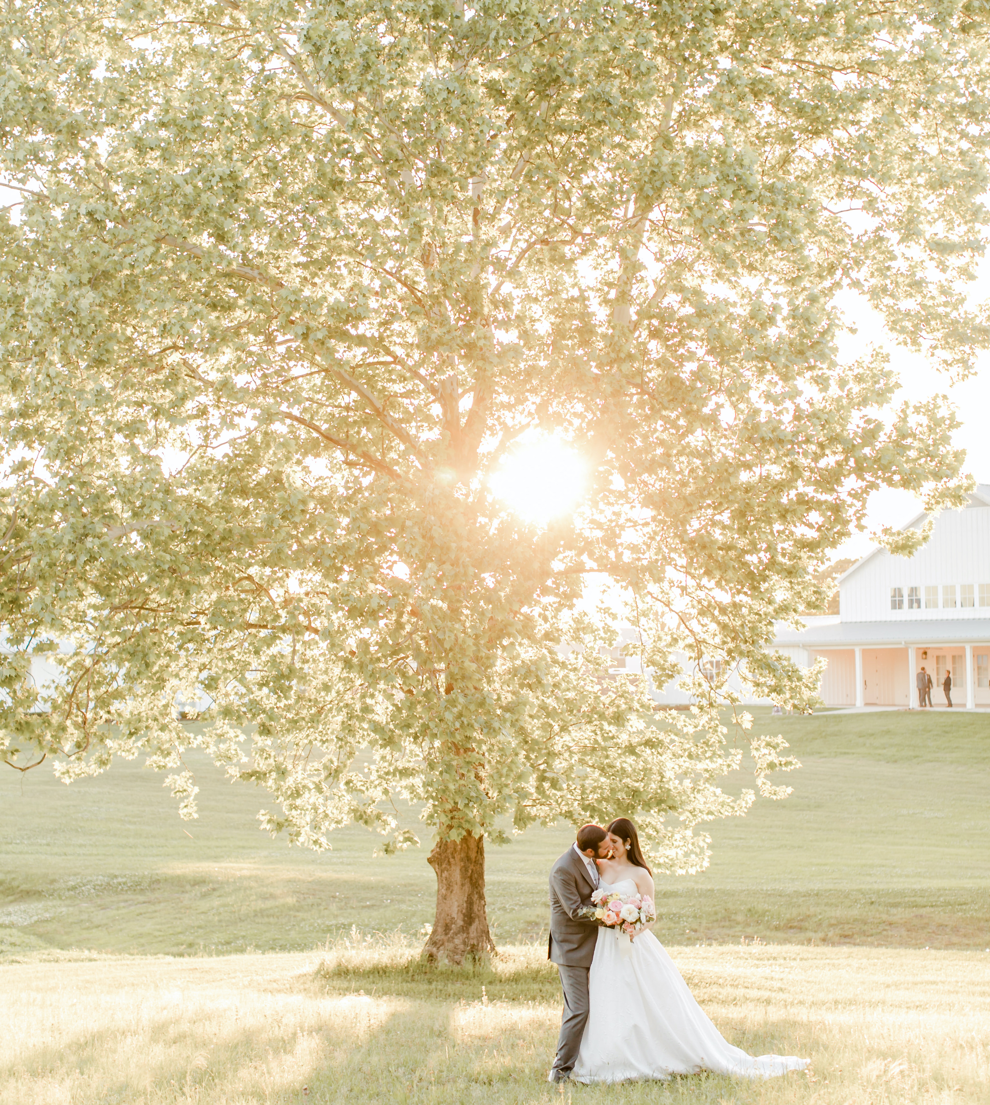 The bride and groom embrace under an oak tree with the sun shining through.