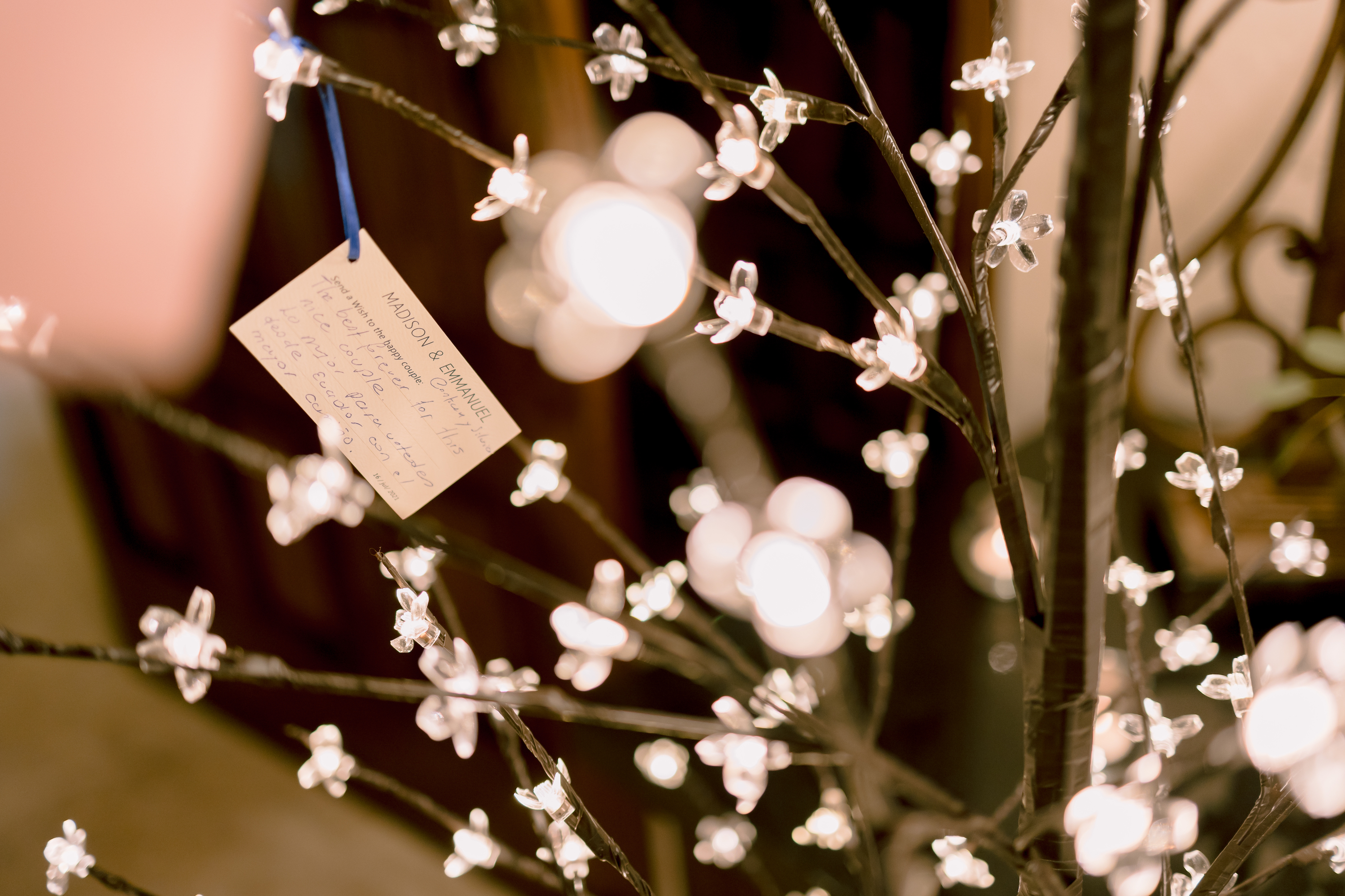 A wishing tree for wedding guests to write notes on for the couple.