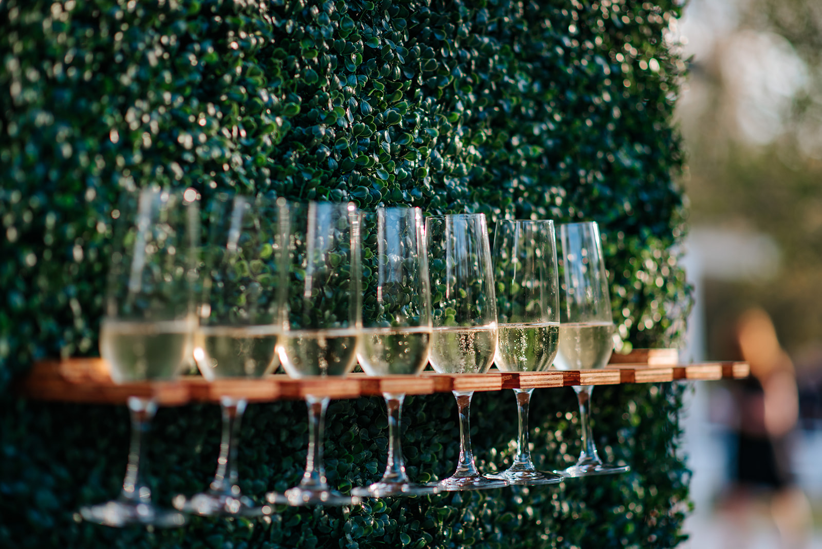 An up close photo of the champagne wall on a grass hedge at the winter wedding in College Station at 7F Lodge.