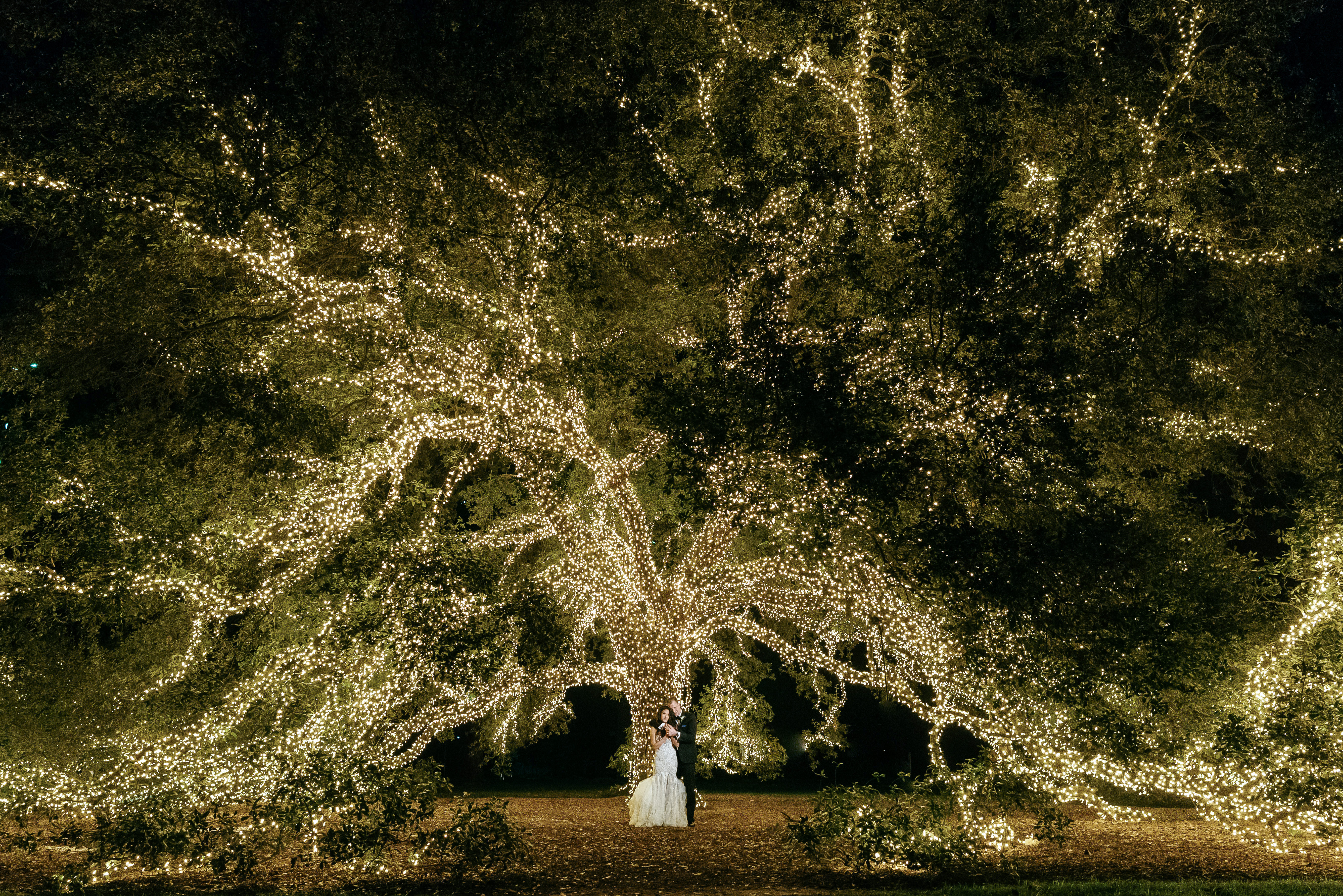 A bride and groom stand a the trunk of a large oak tree with lights wrapped around its branches at the wedding venue, Houstonian Hotel, Club & Spa.