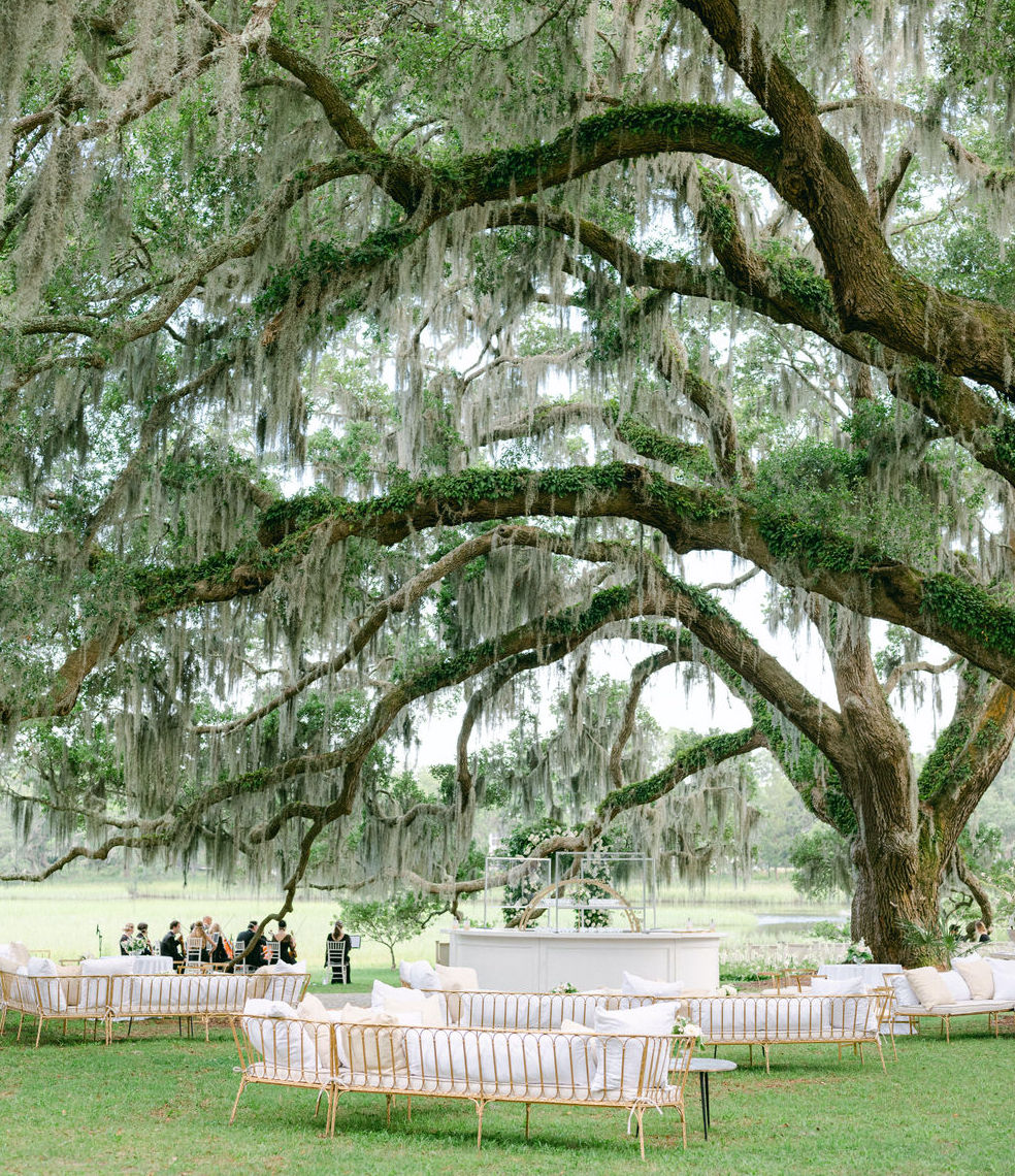 An alfresco wedding in the Lowcountry in Charleston, SC with white couches surrounding a bar under a canopy of Oak tree branches.