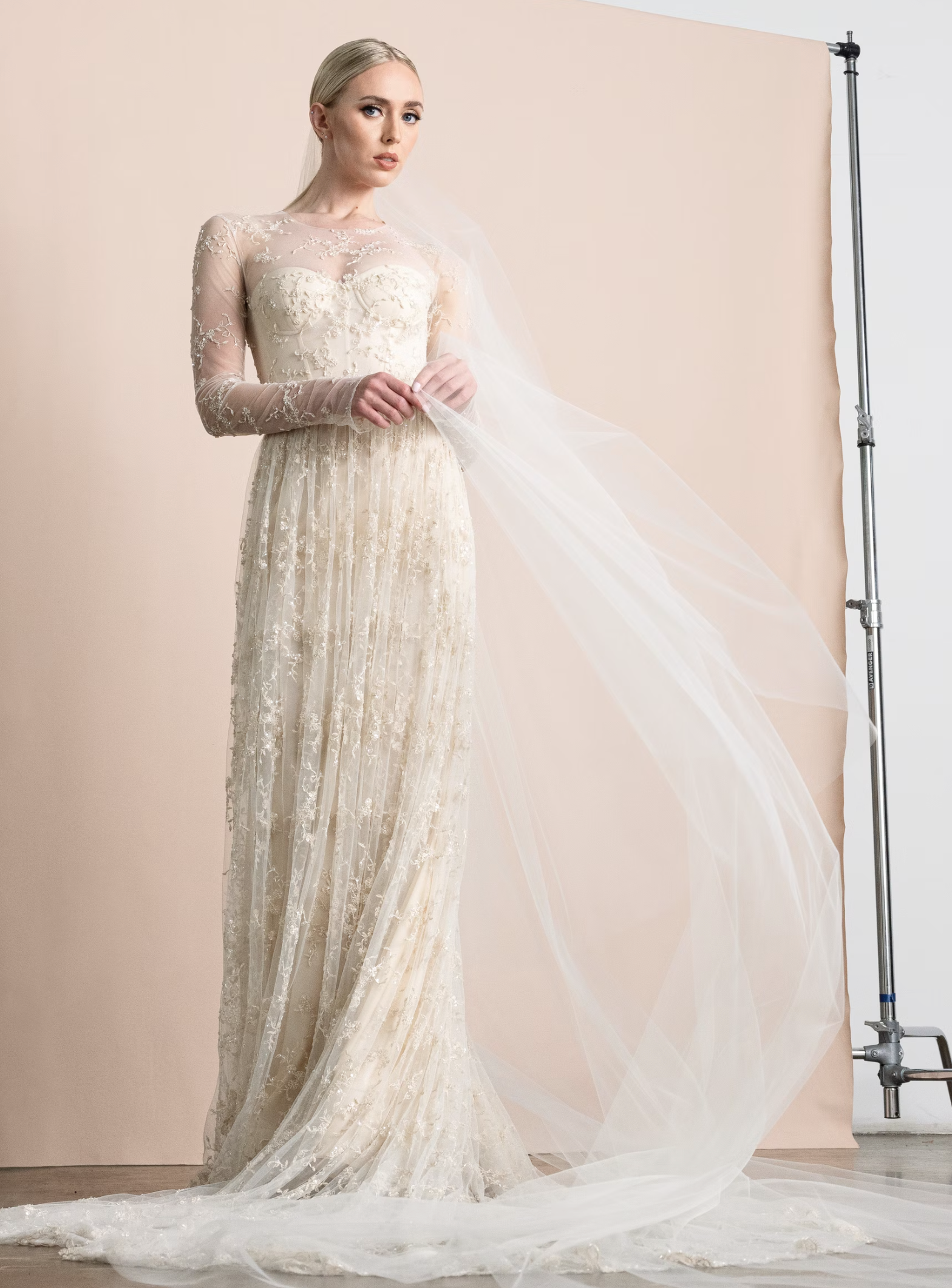 Romona Keveza gold wedding gown with sheer sleeves.