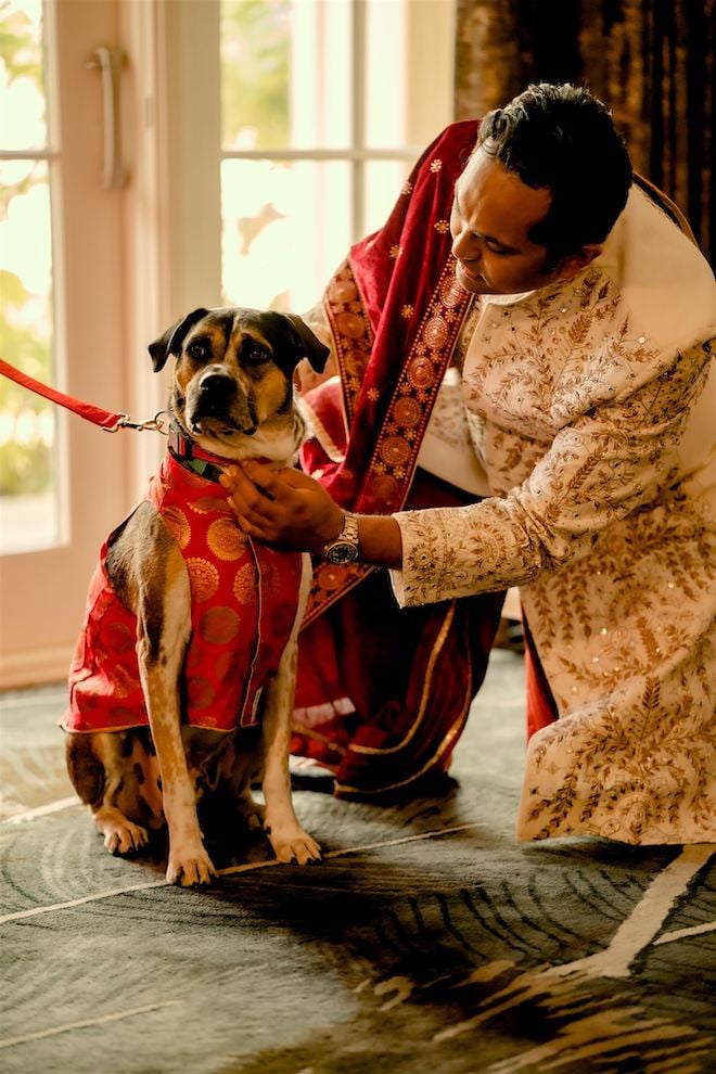 Groom and his dog in their ceremony attire before the wedding