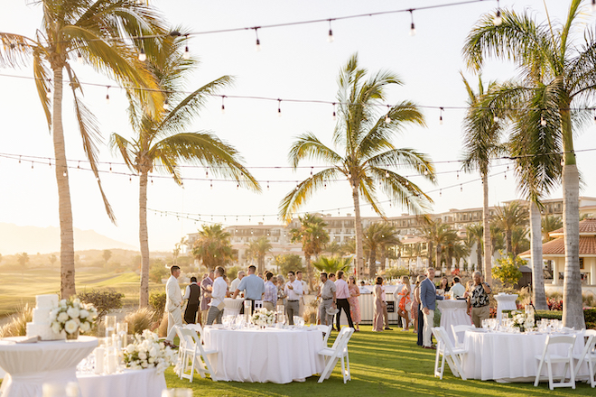 The guests at the reception at the tropical destination wedding.