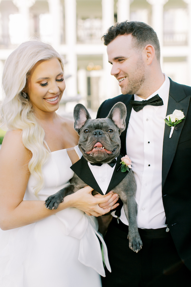 The bride and groom holding their french bulldog who is wearing a tuxedo.