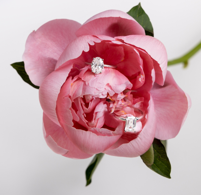 Two solitaire rings on a pink flower.