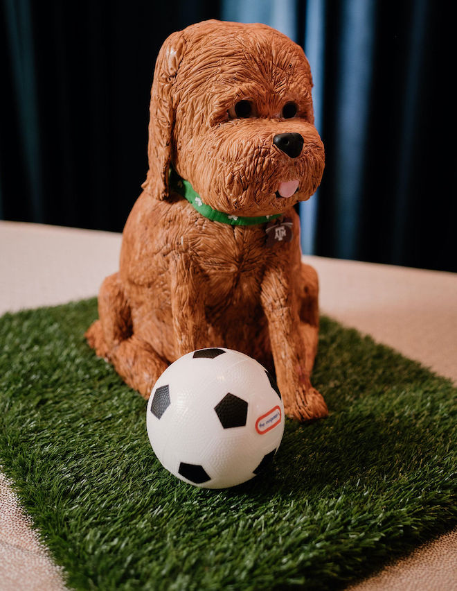 The groom's cake of their dog aside from a soccer ball.