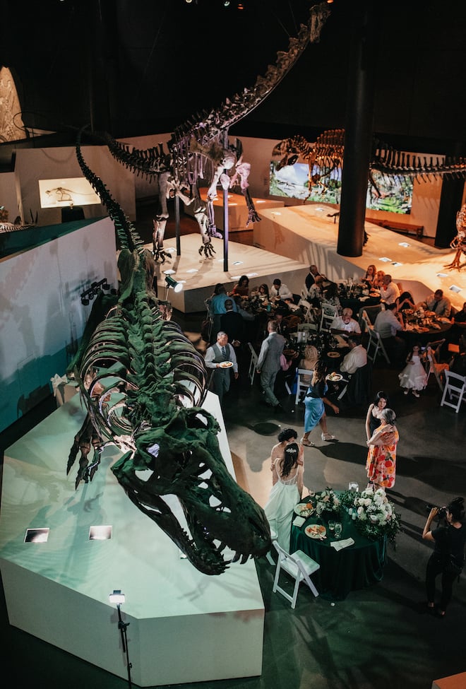 The bride and groom celebrate their marriage with a wedding reception under the dinosaur fossils at the Houston Museum of Natural Science.