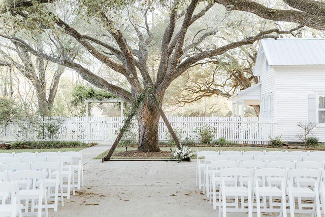 An oak tree is the front of the alter for the bride and groom's outdoor ceremony space. 
