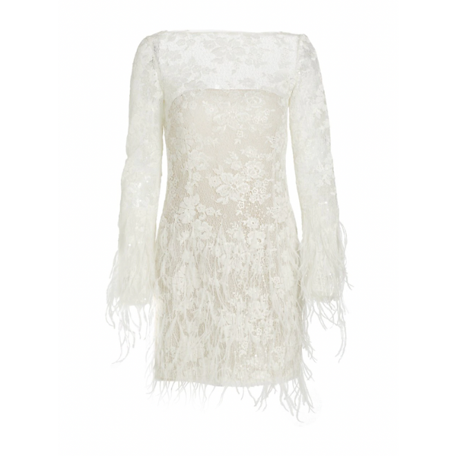 A Zwillinger designer minidress with lace and feathers. 
