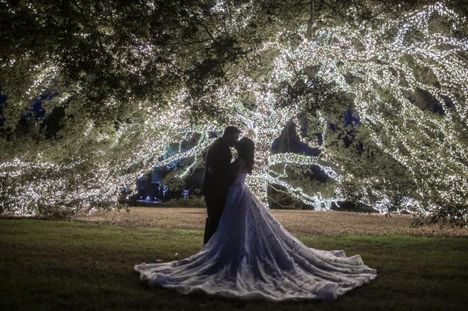 The bride and groom share a kiss under a tree wrapped in twinkling lights. 