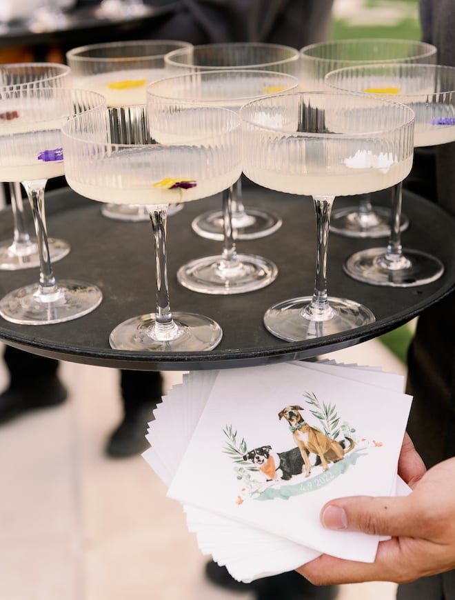 A tray of cocktails garnished with flowers abd a hand holding a napkin with a print of a black and white dog and a brown dog underneath the tray.