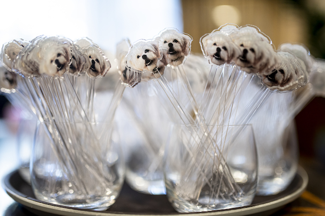 Food picks in clear glasses with a white dogs face at the end of each food pick.