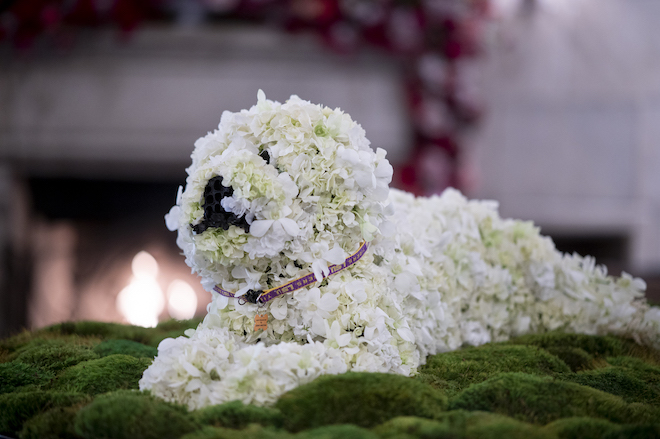 White florals by Plants N Petals creating a replica of a white dog with an LSU collar on. 