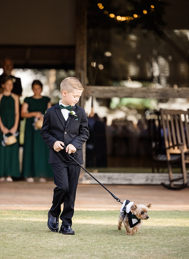 A little kid walks the couple's dog down the aisle that is wearing a tuxedo and holding the wedding bands. 