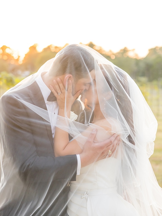 The couple share a kiss under the bride's veil.