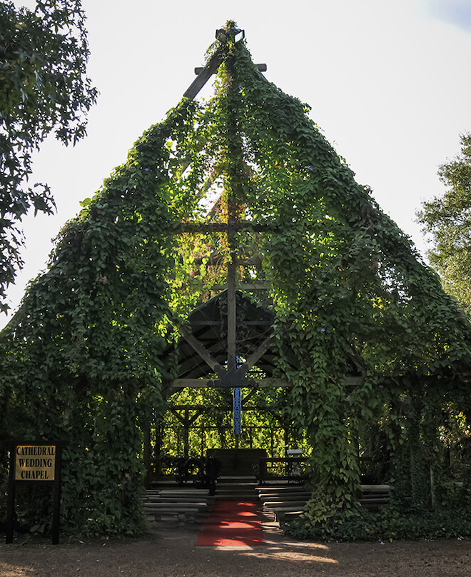 The Texas Renaissance Festival's chapel is covered in greenery. 