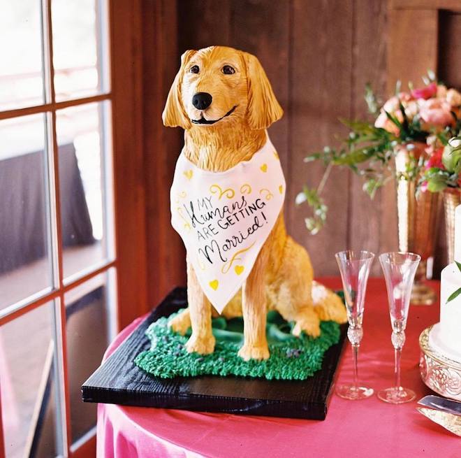 Golden retriever cake with a white bandana that says, "My humans are getting married!" for creative groom's cake ideas.