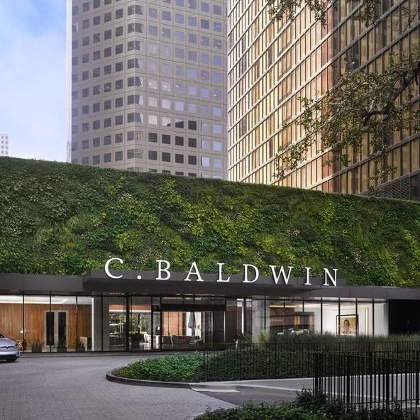 C. Baldwin, Curio Collection by Hilton