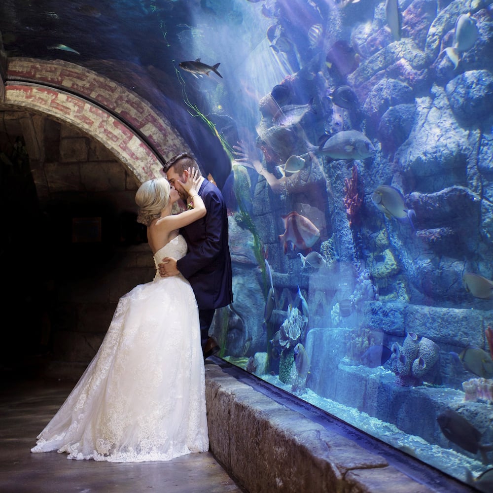Downtown Aquarium