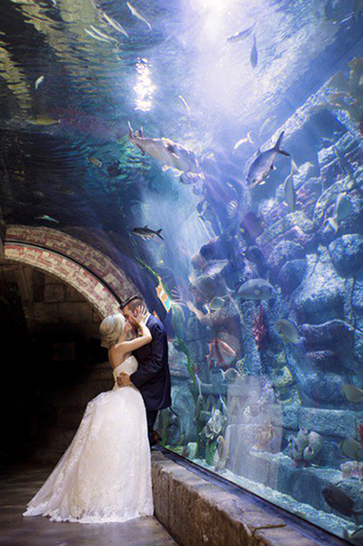 Photo Lindsay Elizabeth Photography Downtown Aquarium - Wedding Open House - Houston Wedding Venues