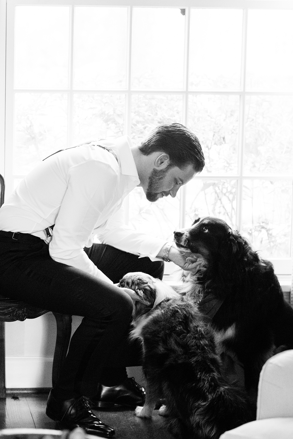 dog, puppy, animal, wedding, houston wedding