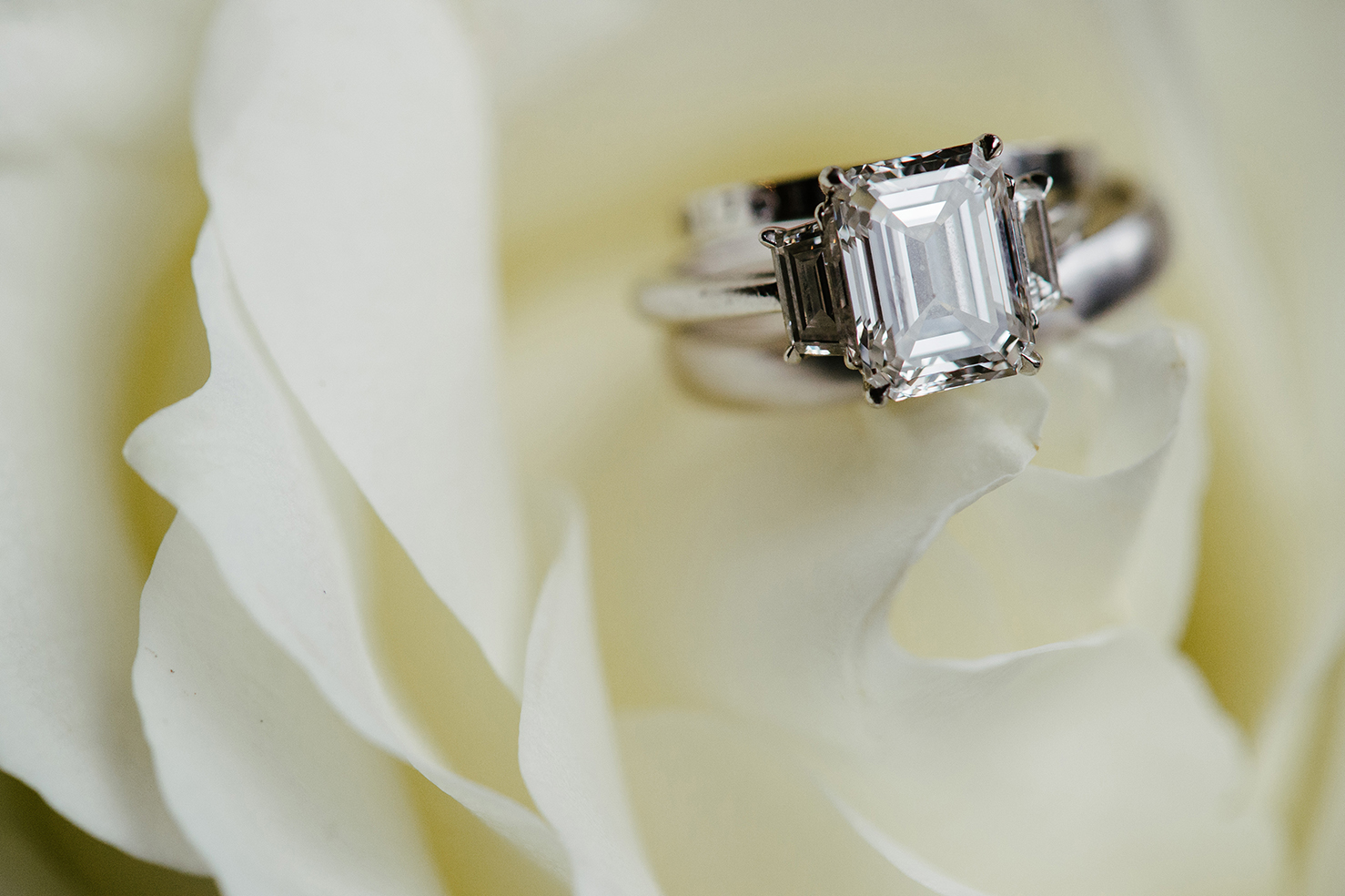 white rose, wedding band, diamond engagement ring