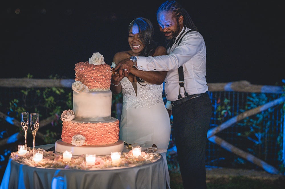 cutting the cake - wedding reception entertainment
