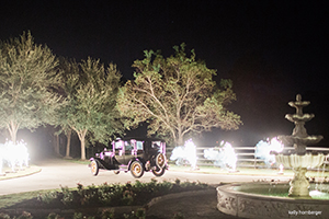 Houston Weddings - Limousines, Charter Busses, Luxury Cars, Classic Car Rentals